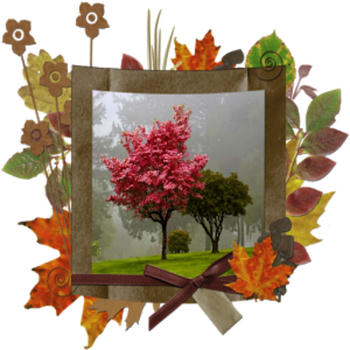 Photo Frames for Autumn Style LOGO-APP點子