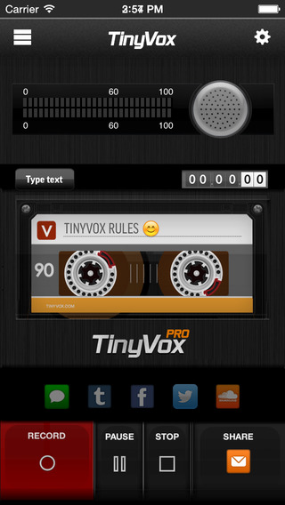 TinyVox Play
