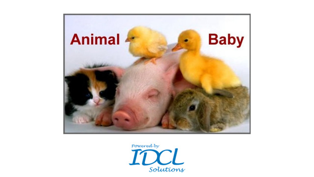 免費下載教育APP|Animal Baby: Learn baby name app開箱文|APP開箱王