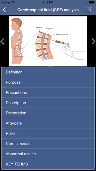 alternative medicine essays alternative medicine essays