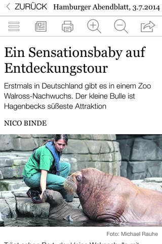 Hamburger Abendblatt E-Paper screenshot 4