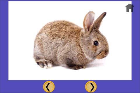 rabbits slots machine for kids - no ads screenshot 3