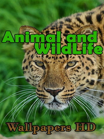 【免費攝影App】Animal and WildLife Wallpapers HD for All iPhone and iPad-APP點子