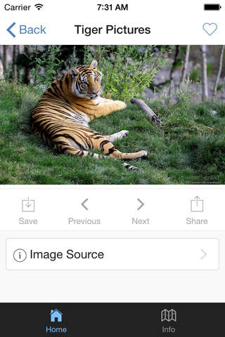 Tiger Pictures screenshot 2