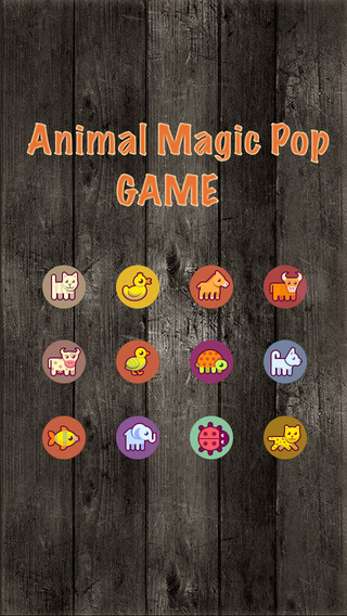 Animal Magic Pop