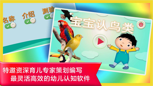 Learn Chinese Language Words and Sentences From Scratch About Birds