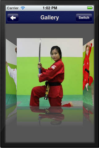 Chang's Taekwondo screenshot 2