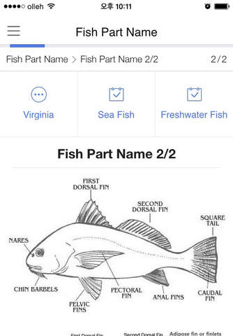 Virginia Fish screenshot 4