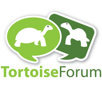 Tortoise Forum 生活 App LOGO-APP開箱王