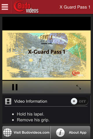 Fernando Terere Favela BJJ Vol 3 Half Guard and X-Guard Passes screenshot 2