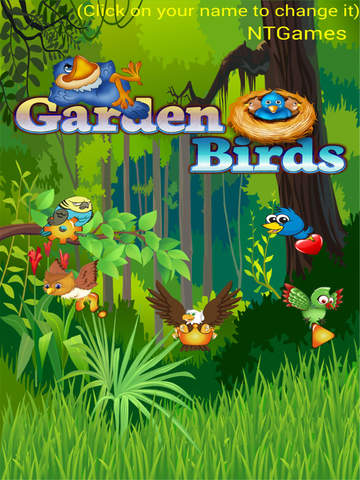 免費下載遊戲APP|Graden Birds FREE app開箱文|APP開箱王