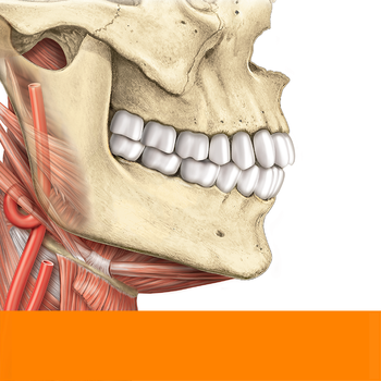 Sobotta Anatomy Atlas Free LOGO-APP點子