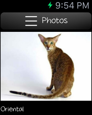 免費下載娛樂APP|Cat Breeds Encyclopedia app開箱文|APP開箱王