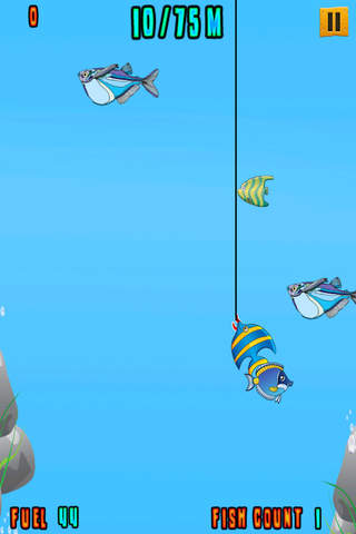 Ninja Kitty Fish Slicer - Cute Kitten Fishing Quest screenshot 3