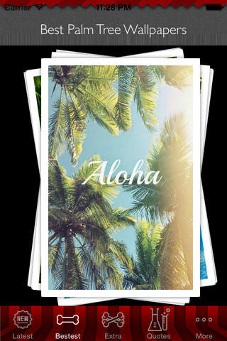 Best HD Palm Trees Wallpapers for iOS 8 Backgrounds: Tropical Seaside Theme Pictures Collection screenshot 4