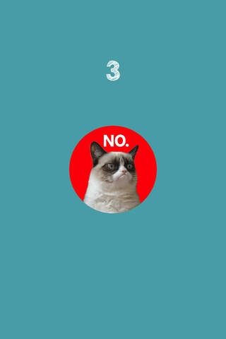 Don't Tap Grumpy Cat screenshot 3