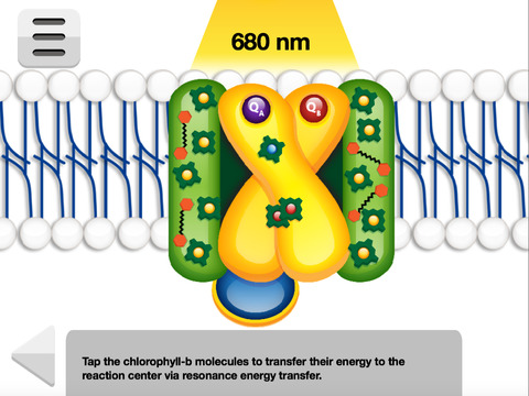 【免費教育App】FCS - Photosynthesis-APP點子