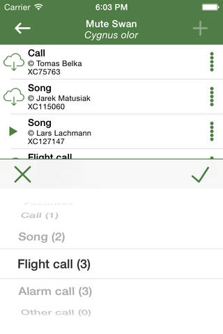Aves Vox Pro: bird calls, bird songs screenshot 2