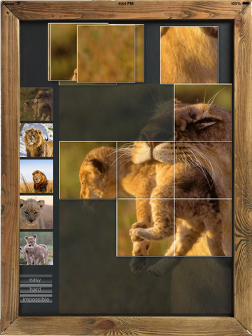 Lions Puzzle