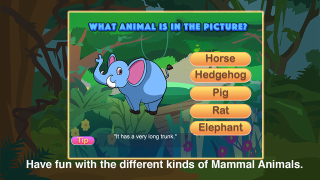 【免費教育App】Mammal Animals of Different Kinds-APP點子