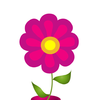 no app image