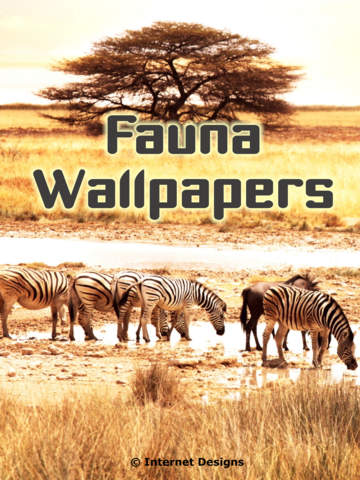 【免費攝影App】Fauna Wallpapers-APP點子