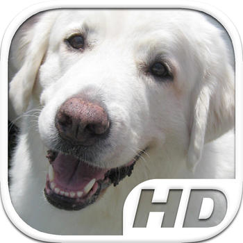 Tatra Sheepdog Simulator HD Animal Life 遊戲 App LOGO-APP開箱王