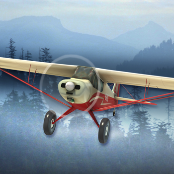 Airplane Fly Bush Pilot Flight Simulator LOGO-APP點子