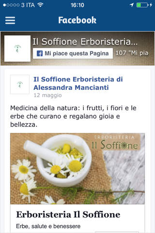 Il Soffione screenshot 3