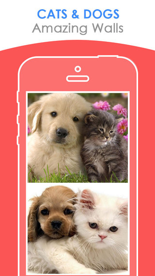 Puppy 'n Kitten - Beautiful cats and puppy wallpaper collection