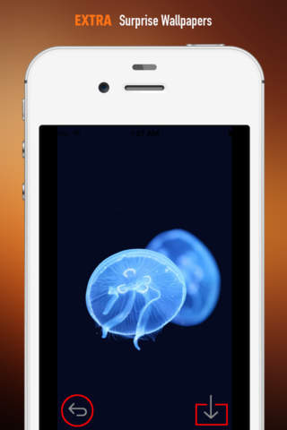 JellyFish Wallpapers HD: Quotes Backgrounds Creator with Best Designs and Patterns screenshot 3