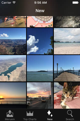 Photocycle - Photo Charts, Wallpapers & Pictures screenshot 4