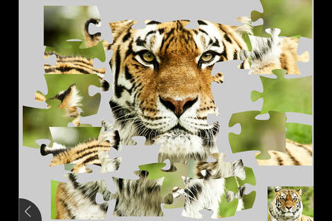 Animals - Puzzle Game Free screenshot 2