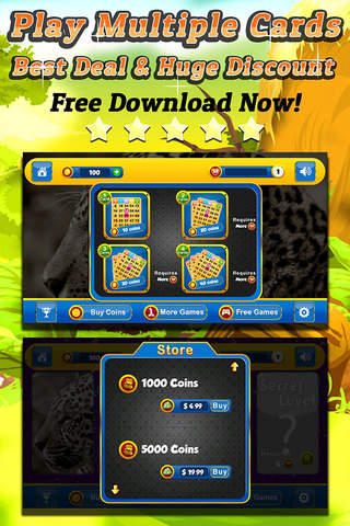 BINGO WILD - Play Online Casino and Number Card Game for FREE ! screenshot 3