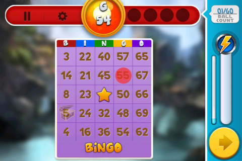 Bingo Extravaganza Ole Pro screenshot 4