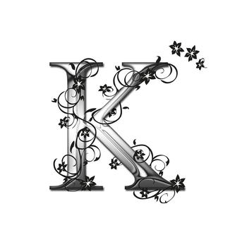 STUDIOESTETICOKARMA LOGO-APP點子