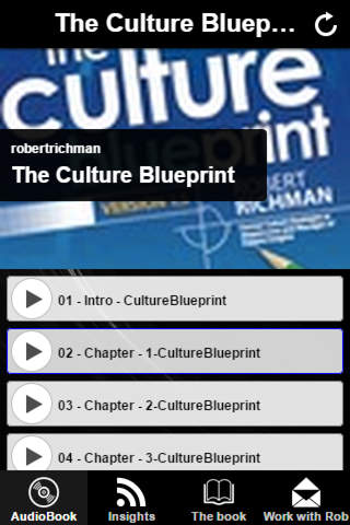 The Culture Blueprint screenshot 2