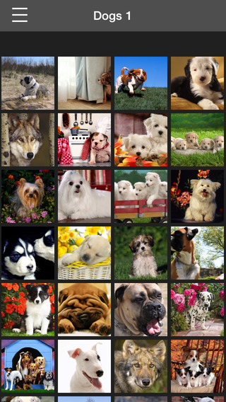 【免費生活App】Dogs Wallpaper HD-APP點子