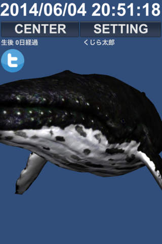 育成Whaleくじらちゃん！！ screenshot 2