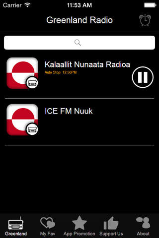 Greenland Radio screenshot 3