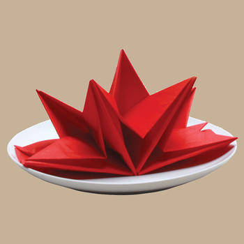 How To Fold Napkins LOGO-APP點子