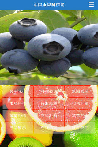 中国水果种植网 screenshot 2