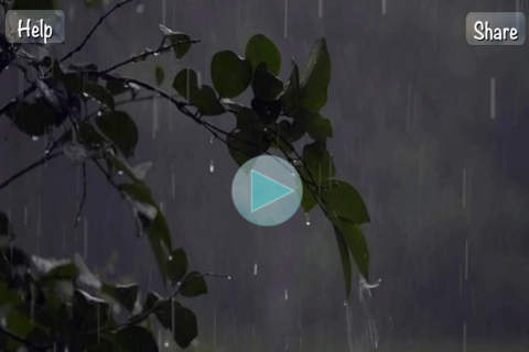 Melodies for Meditation - live free scenes with relaxing nature & sounds for stress relief and deeper sleep screenshot 2