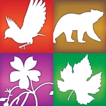 Audubon Guides Box Set - Birds, Tree, Wildflowers &  Mammals LOGO-APP點子