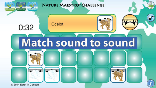 【免費遊戲App】Nature Maestro Challenge-APP點子