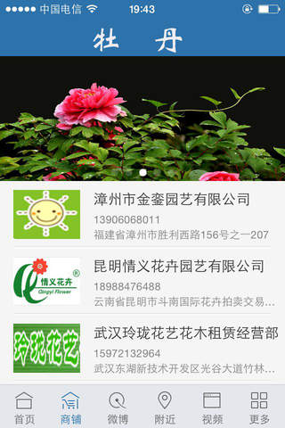 中国牡丹网 screenshot 4