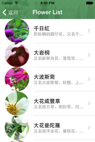 Flower100 screenshot 2