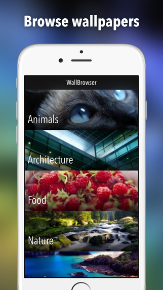 WallBrowser