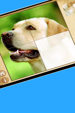 Dogs Photo jigsaw Puzzle Games for preschool kids boys and girls HD 3 + screenshot 2