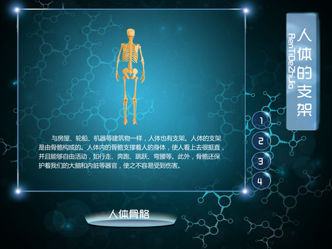 Human Body Encyclopedia screenshot 2